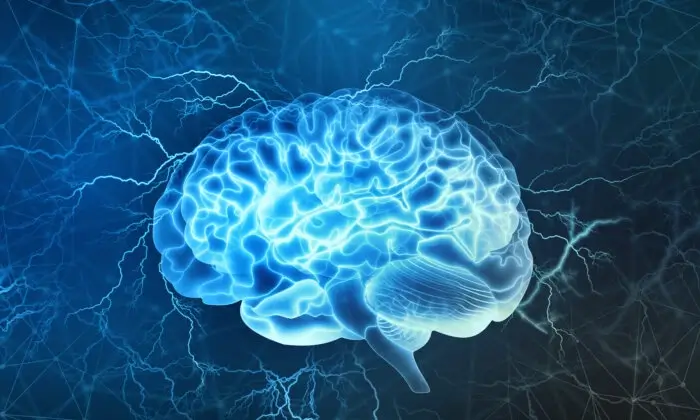 Preserved White Matter Key to Superagers’ Superior Memory: Study
