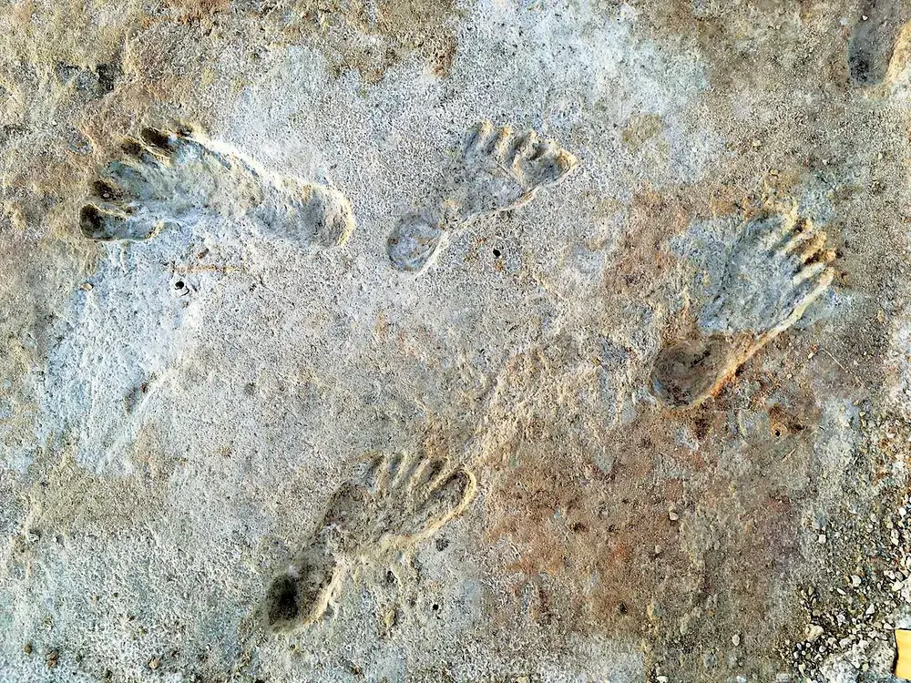Fossilized footprints, preserved in gypsum mud that hardened over time, are estimated to be 23,000-21,000 years old.