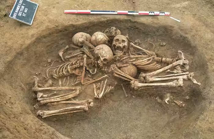 The collective tomb at Bréviandes les Pointes, near Troyes, where all the skeletons have had their genomes sequenced.