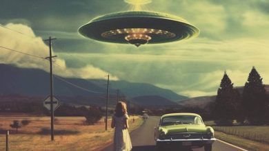 UFO Disclosure: The Truth Behind The Shadows | Dr. Steven Greer