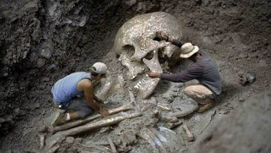 Lost Archaeologist Finds Giant Skeletons Under The Grand Canyon