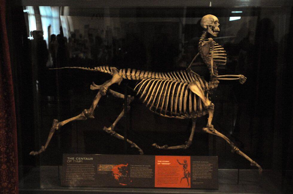 Greece: The Astonishing Discovery of A Half-Human, Half-Horse Skeleton In 1876 