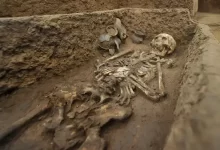 Shocking! Archaeological Evidence of Giants In History