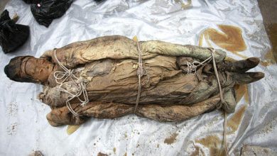 Archaeologists have discovered a well-preserved, 700-year-old, body of a woman inside a stone coffin in China.