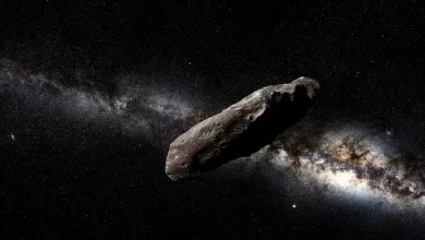 An artist's impression of 'Oumuamua