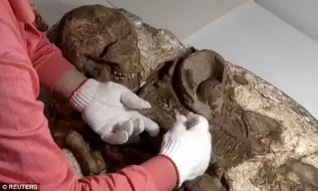 A view of a fossil of a mother and baby in Taichung City, Taiwan, April 26, 2016 in this still image taken from video. REUTERS / via Reuters TV