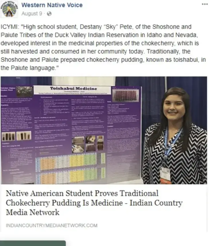 Chokecherry pudding, rich in antioxidants and crushed seed benefits, proves effective in inhibiting cancer cell growth in scientific tests.