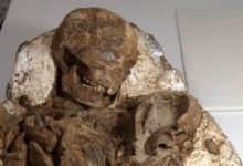 A view of a fossil of a mother and baby in Taichung City.