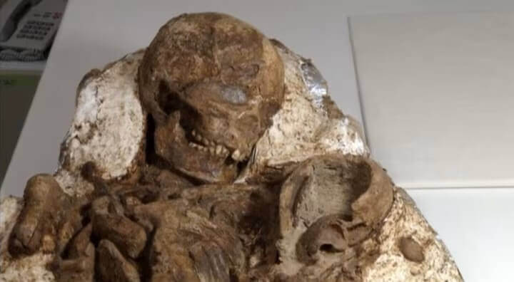 A view of a fossil of a mother and baby in Taichung City.