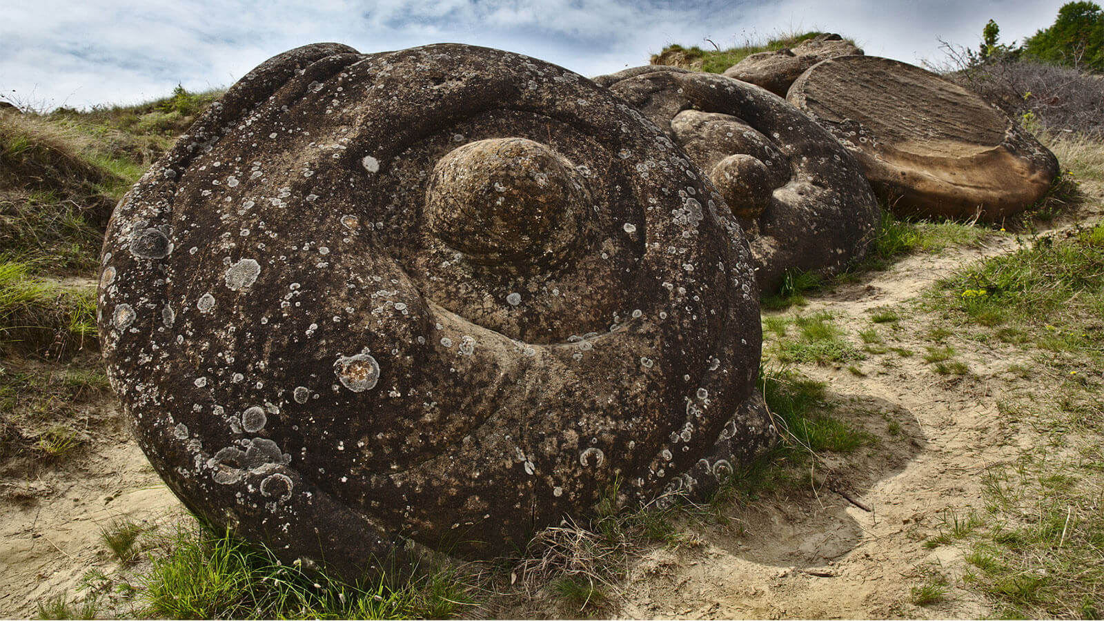 Trovants Are Stones That Seem To Grow, Move & Reproduce