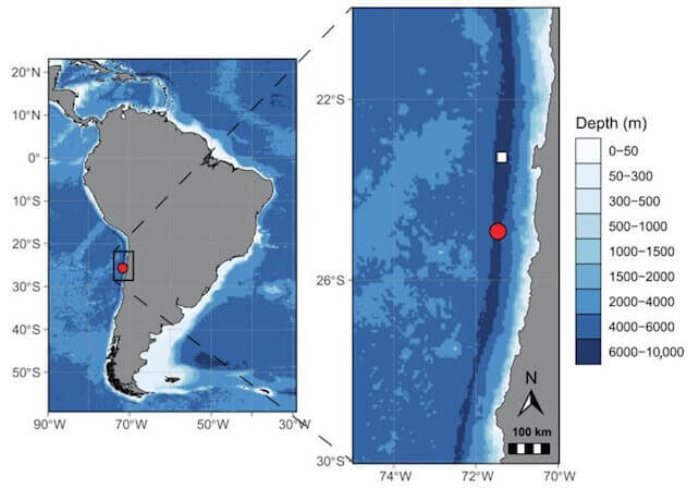 The new species was found nearly 8 km deep in the Atacama Trench. (Johanna Weston/WHOI)