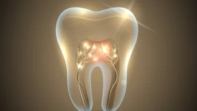 Scientists are about to start growing new teeth in humans.