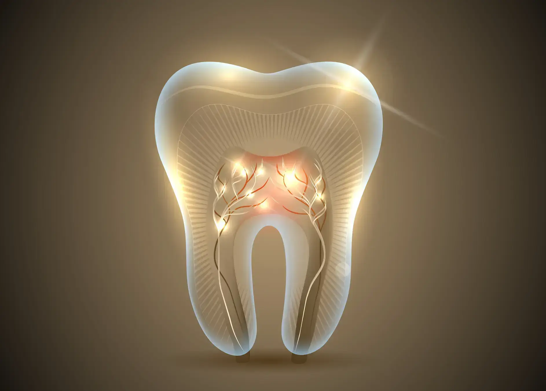 Scientists are about to start growing new teeth in humans.