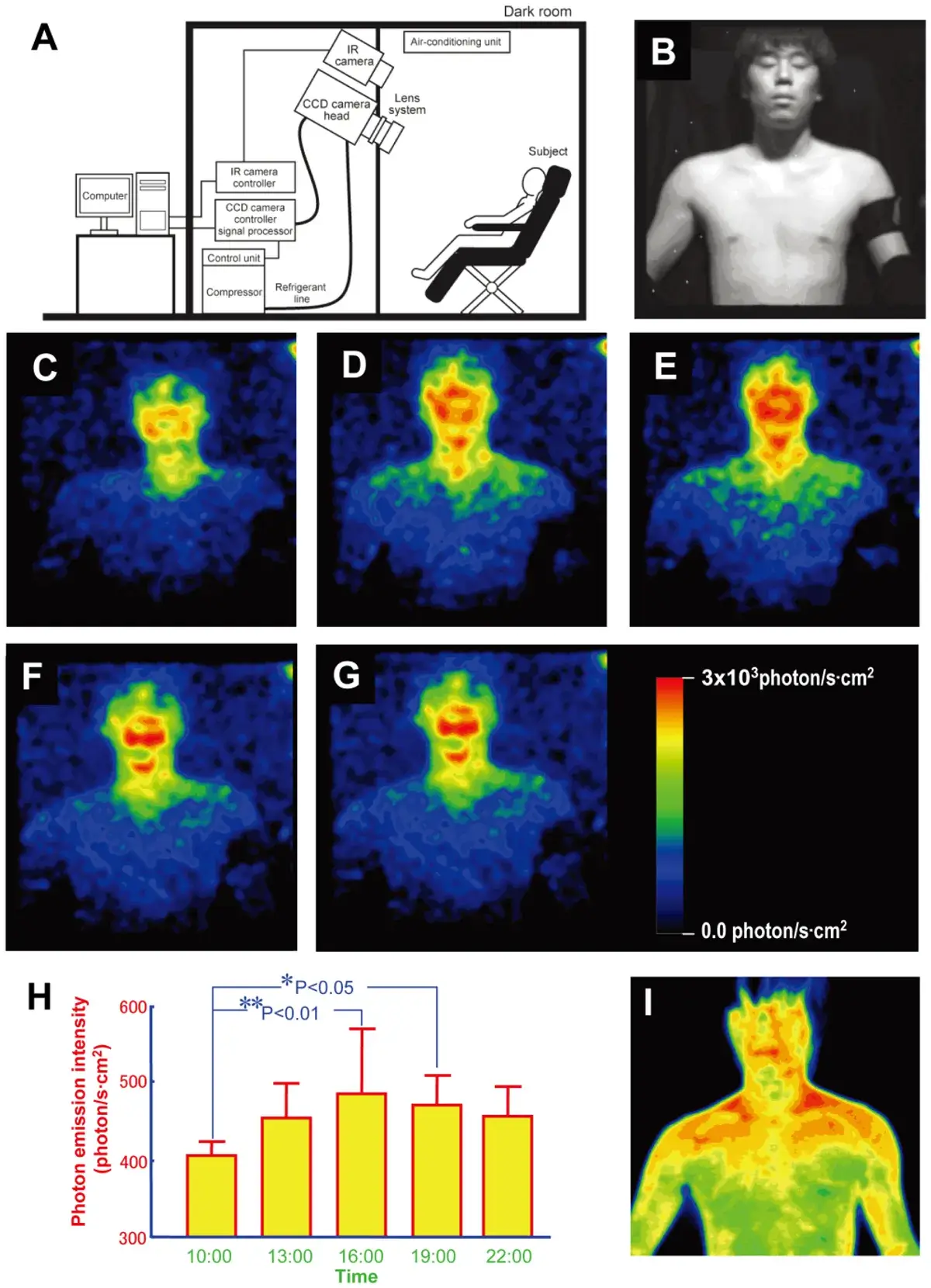 A. The experimental setup. B–F. Images of ultraweak photon emission from human body, including the subject under light illumination. G Calibration bar for estimated radiation intensity on skin’s surface. H. Daily rhythm of photon emission from face and body from 5 volunteers. I. A typical thermographic image of the subject from B-G. Image Credit: Kobayashi et al., PLoS One 2009 (CC BY 4.0)