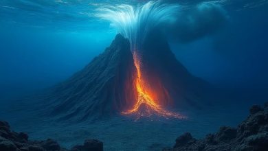 Scientists Warn uf Huge Underwater Volcano Expected To Erupt This Year After 'Swelling' Was Spotted