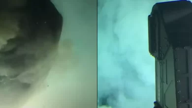 People Left 'Terrified' of Deep Sea After Seeing Prehistoric Creature In Eerie Underwater Footage