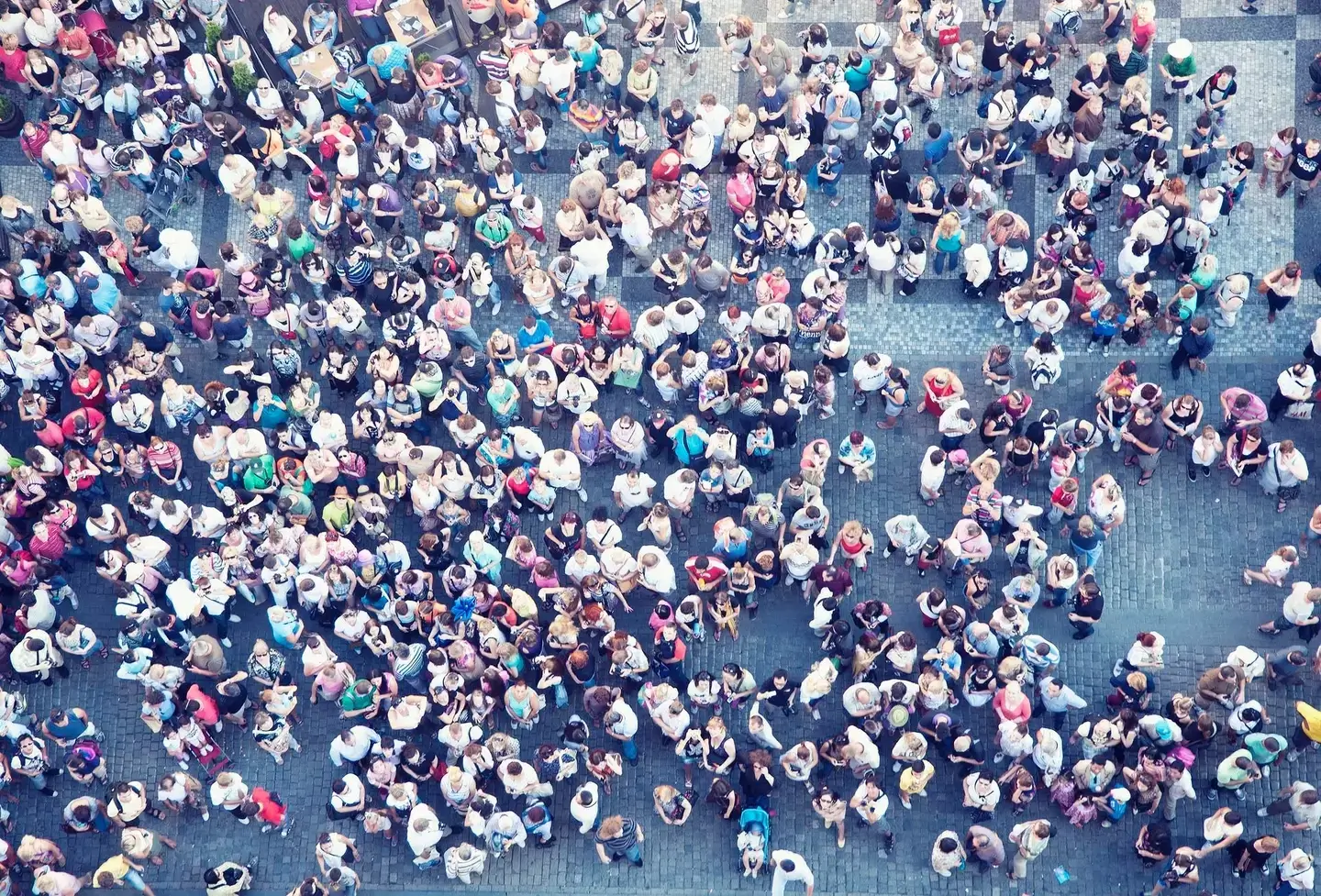 Controlling the population (Carlo A / Getty)