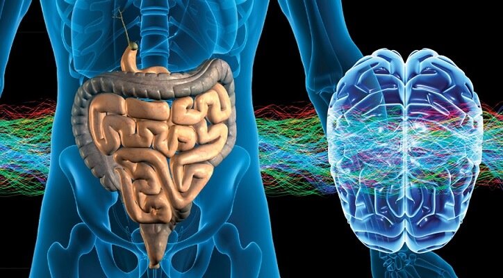 The Gut-Brain Connection: Boost Mental Health Through The Gut 