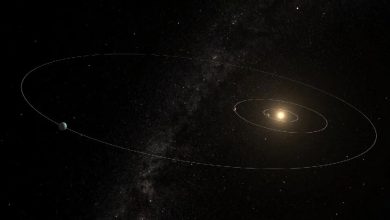 The habitable zone around the star HD 20794 and the trajectory of the three planets in the system.