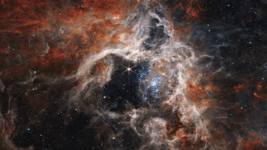 Tarantula Nebula captured by the James Webb Space Telescope showing intricate cosmic gas and dust structures