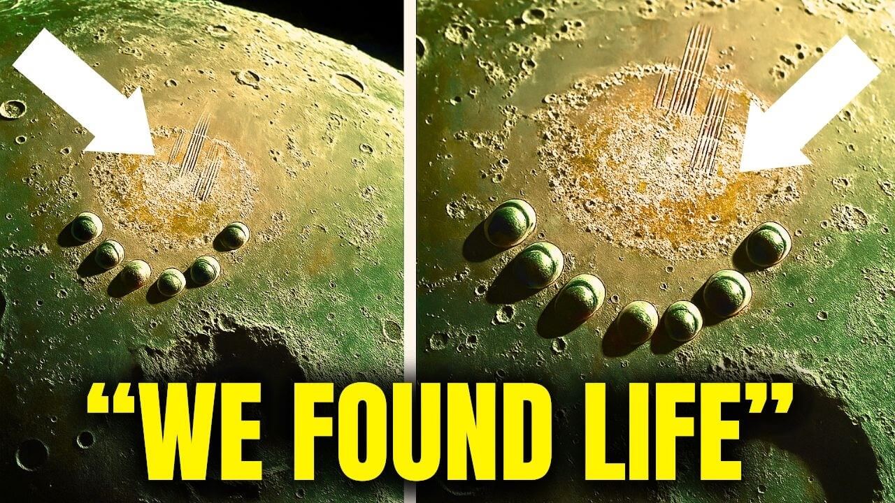 NASA detects alien civilization signal from Proxima B