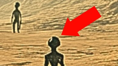 Alien figure spotted on Proxima B captured by James Webb Telescope