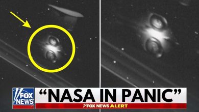 Bill Nye reacts to horrifying James Webb Telescope discovery