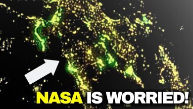 The James Webb Telescope captures the clearest image of Proxima B