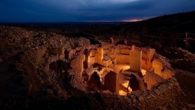 Hidden chamber discovered beneath Göbekli Tepe astonishes archaeologists