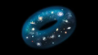 Telescope detects mysterious signs hinting at an invisible dimension, according to Google Quantum Lab