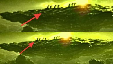 James Webb Telescope captures real image of 3I/ATLAS, the new 'Oumuamua'