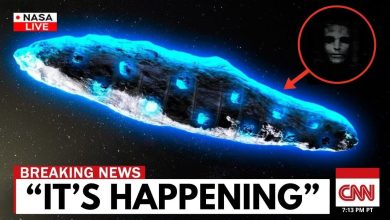 James Webb Telescope detects mysterious object entering our solar system