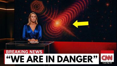 Voyager 1 final signal confirms disturbing discovery in interstellar space