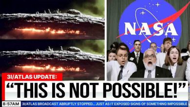 3I Atlas broadcast stopped after strange anomaly appeared in final frame