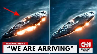 3I/ATLAS last transmission confirms warning to humanity