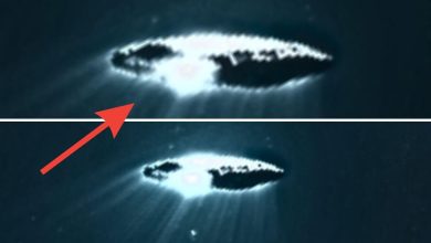 Michio Kaku warns about 3I/ATLAS sending a mysterious message to Earth