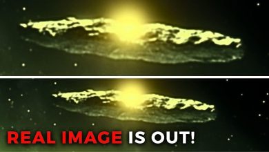 Michio Kaku issues terrifying warning about 3I/ATLAS asteroid’s path to Earth