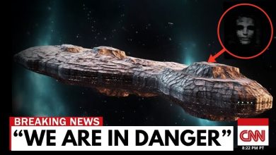 Voyager 2 makes contact with a mysterious highly advanced object in deep space