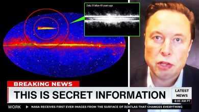 3I/ATLAS interstellar object sends flashing signals toward Earth, linked to the historic WOW signal