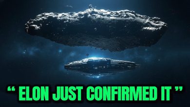Elon Musk comments on mysterious Comet 3I/ATLAS raising alien ship theories.