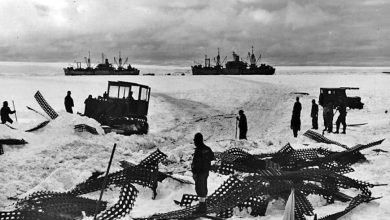 Last survivor Robert Johnson revealing chilling discoveries beneath Antarctica during Admiral Byrd’s expedition