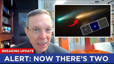 new comet appears near 3i atlas latest update