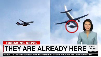 dish shaped ufo gliding under airplane