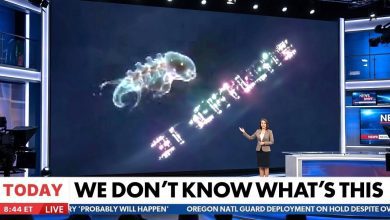 ghost-like object beside comet 3i/atlas