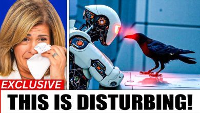 AI decoding crow speech and revealing shocking insights about humans