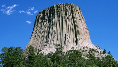 Devils Tower Wyoming linked to Ethiopian Bible and ancient Watchers tree