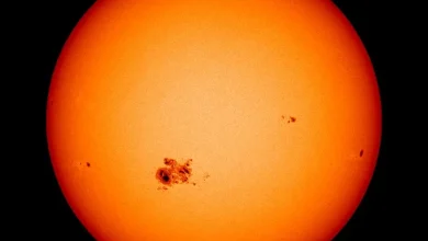 ALERT: Astronomers Are Terrified by A Giant Sunspot That Could End Life on Earth