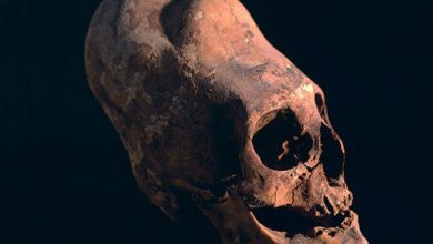 Scientists Tested The DNA of Peru’s 3,000-Year-Old Elongated Skulls — The Results Were Terrifying