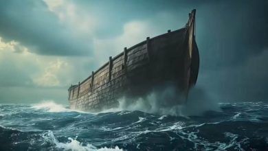 What Ron Wyatt Found INSIDE Noah's ARK In Turkey Terrified The World
