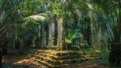 Archaeologists Just Found A Lost City Beneath The Amazon Jungle